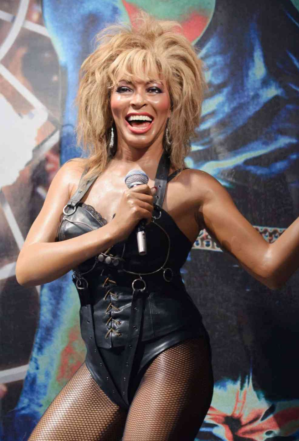 Tina Turner nahá. Fotka - 19